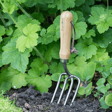 Classic Round Tined Fork