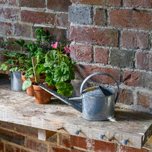 Sophie Conran - Galvanised Indoor Watering Can Small