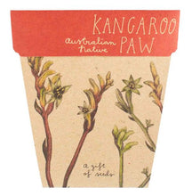 Kangaroo Paw Gift of Seeds