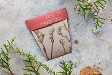 Kangaroo Paw Gift of Seeds