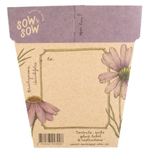 Swan River Daisy Gift of Seeds