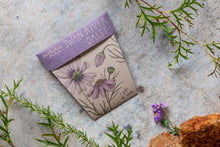 Swan River Daisy Gift of Seeds