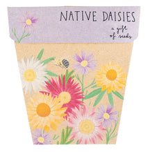 Native Daisies Gift Card of Seeds