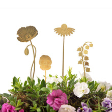 Brass Blooms Garden