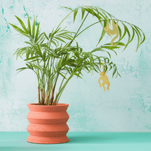 Plant Animals – Chimpanzee
