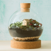 House Mini Model