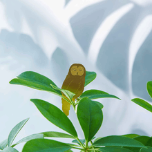Plant Animals – Owl