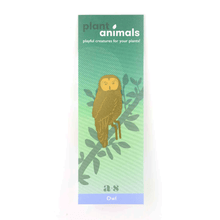 Plant Animals – Owl