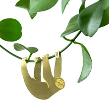 Plant Animals – Sloth