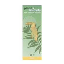 Plant Animals – Toucan