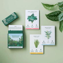 Houseplant Care Cards