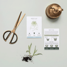 Houseplant Care Cards
