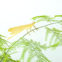 Plant Animals – Damselfly