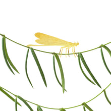 Plant Animals – Damselfly