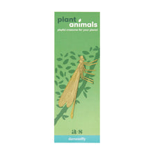Plant Animals – Damselfly