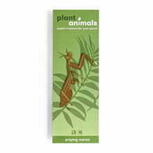 Plant Animals – Praying Mantis