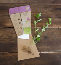 Sweet Pea Gift Card of Seeds