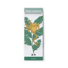 Plant Animals – Green Tree Frog
