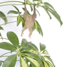 Plant Animals – Orangutan
