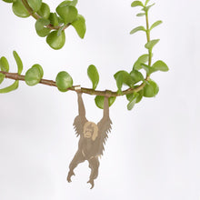 Plant Animals – Orangutan