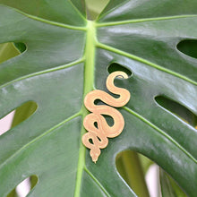Plant Animals – Snake