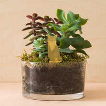 Plant Animals – Fox