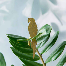 Plant Animals – Parrot