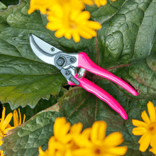Pink FloraBrite Garden Tool Gift Set