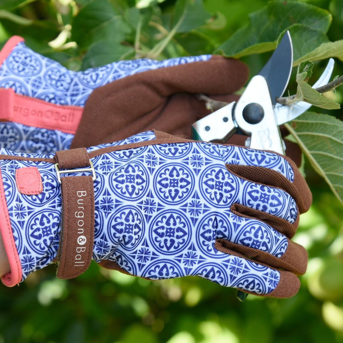 Cut & Care Gift Box for Gardeners | The Potted Garden