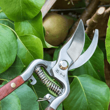 Cut & Care Gift Box for Gardeners - Artisan Gloves