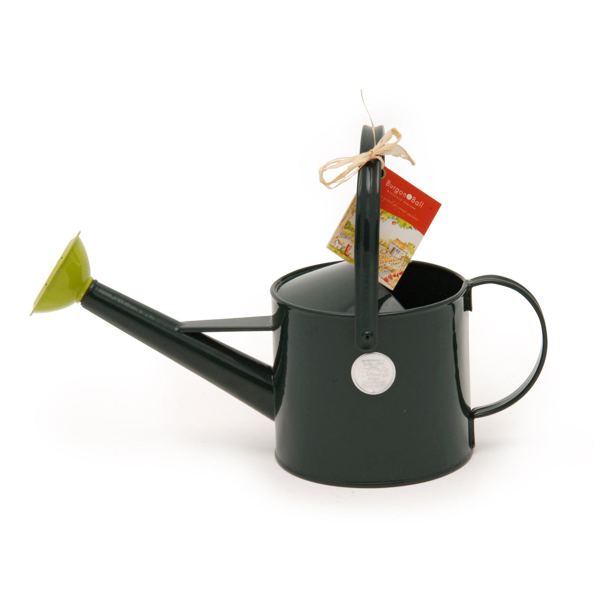 Children's Watering Can Gifts for Kids The Potted Garden