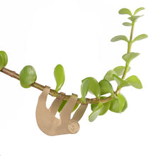 Plant Animals – Sloth