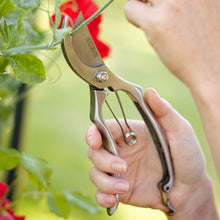 Sophie Conran - Secateurs | Cutting Tools | Plant Gifts | The Potted Garden
