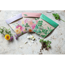 Native Daisies Gift Card of Seeds