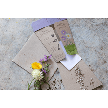 Native Daisies Gift Card of Seeds