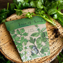 Trio of Herbs - Gift of Seeds | Seeds | Plant Gifts | The Potted Garden