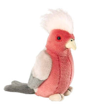 Birds with Sound Galah