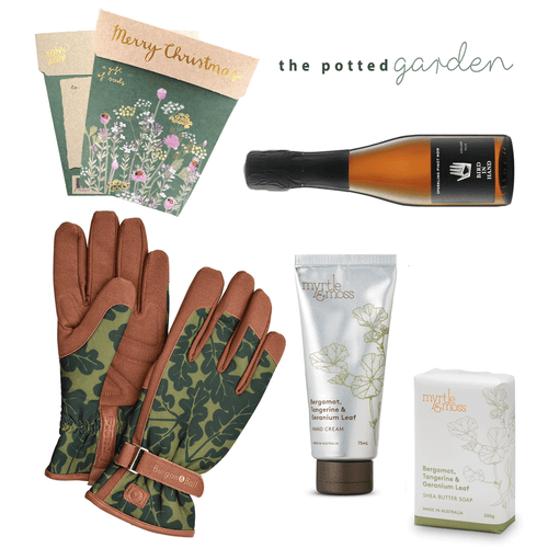 Sparkling in the Garden - Christmas Hamper for Her