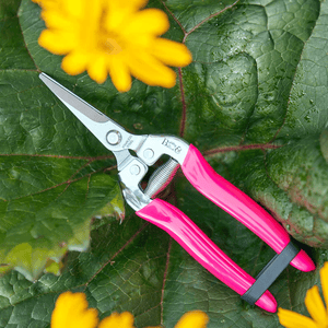FloraBrite Pink Flower & Fruit Snip