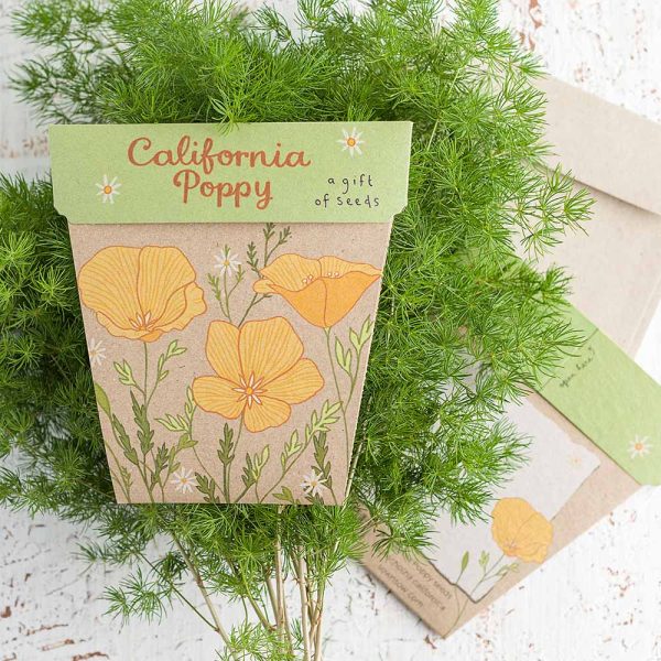 California Poppy Gift of Seeds | Gift Cards For Gardeners – The Potted ...
