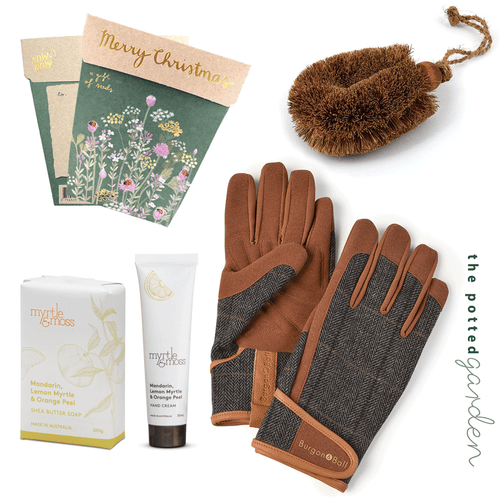 Christmas Garden Hamper - For Him