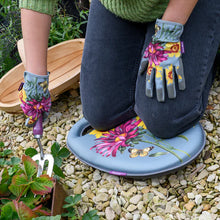 Asteraceae Kneelo Kneeler