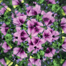 Kikkerland Great Outdoors - Kaleidoscope