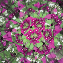 Kikkerland Great Outdoors - Kaleidoscope