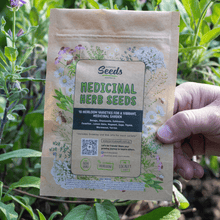 Survival Seeds - Medicinal Herb Seeds