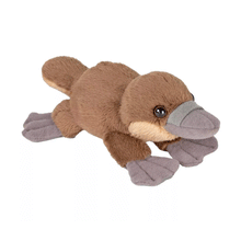 Pocketkins-Eco Platypus