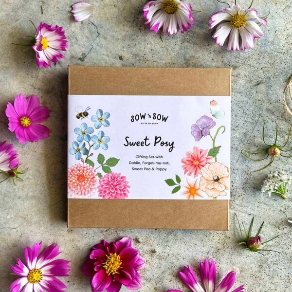 Sweet Posy Gifting Set of 4