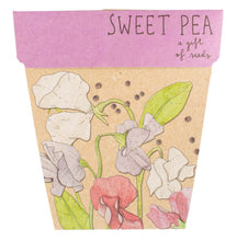 Sweet Posy Gifting Set of 4