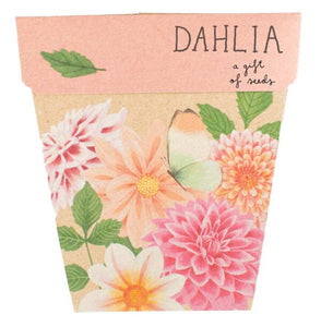 Sweet Posy Gifting Set of 4