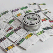 Survival Seeds - Seed Tin